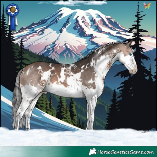Horse Color:White Spotted Bay Splash Rabicano 