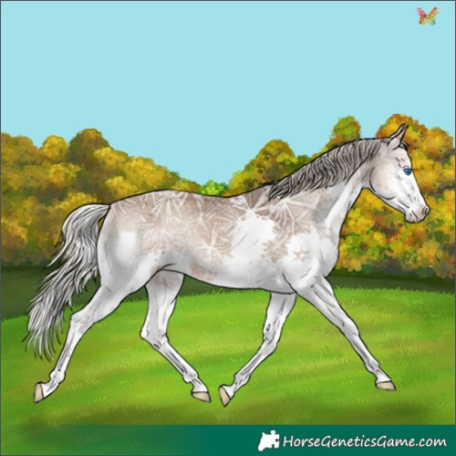 Horse Color:Silver Blue Onyx Ice Splash 