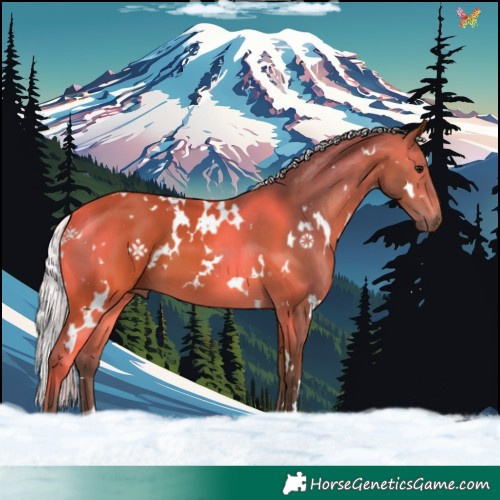 Horse Color:White Spotted Silver Brown 