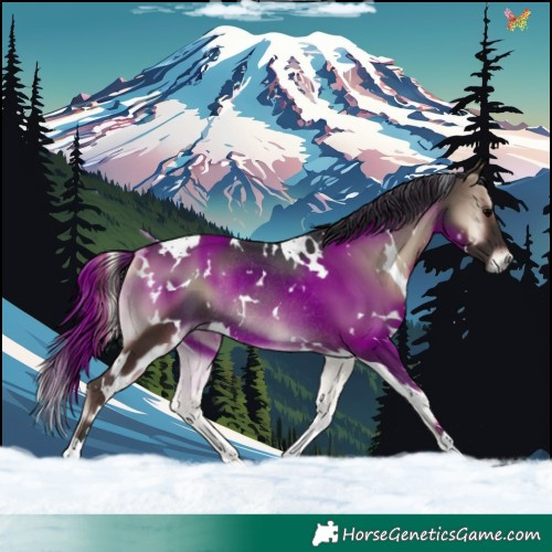 Horse Color:White Spotted Blue Onyx Rabicano 