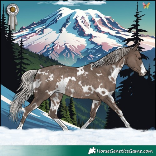 Horse Color:White Spotted Silver Black Rabicano 