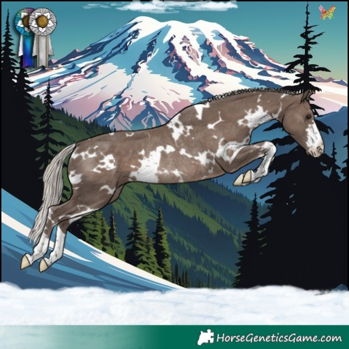 Horse Color:White Spotted Silver Black Rabicano 