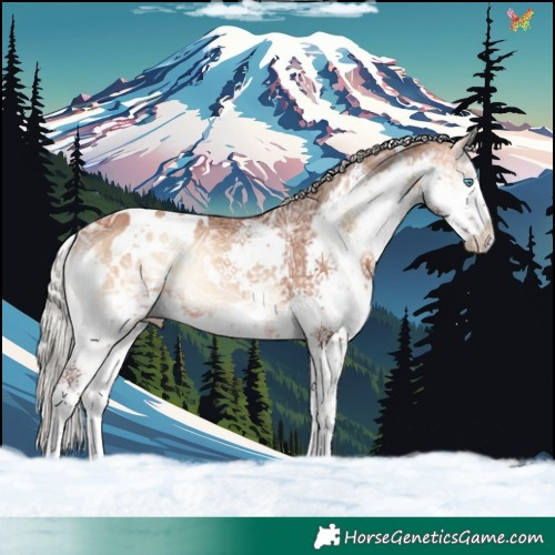 Horse Color:White Spotted Silver Bay Ice Onyx Splash Rabicano 