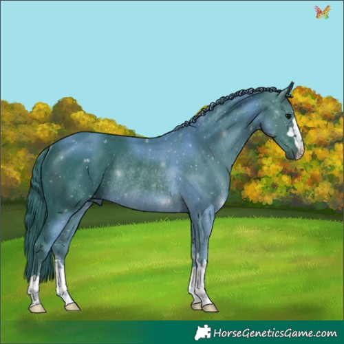 Horse Color:Watercolor Black Rabicano 