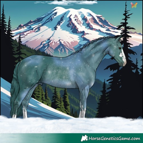 Horse Color:Watercolor Black Rabicano 