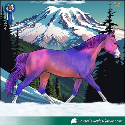 Horse Color:Watercolor Bay 
