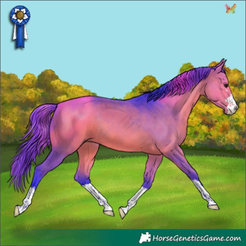 Horse Color:Watercolor Bay 