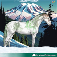 Horse Color:White Spotted Bay Splash Tobiano Rabicano 