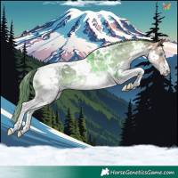 Horse Color:White Spotted Bay Splash Tobiano Rabicano 