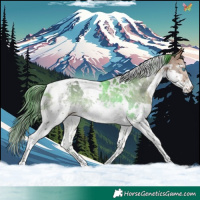 Horse Color:White Spotted Bay Splash Tobiano Rabicano 