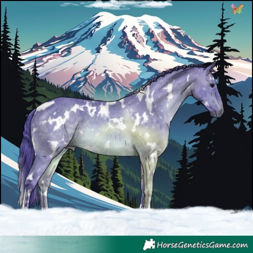 Horse Color:Watercolor White Spotted Brown 