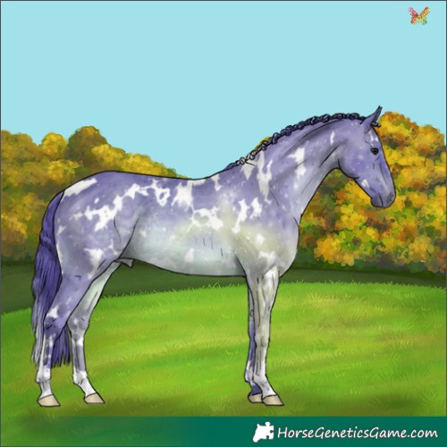 Horse Color:Watercolor White Spotted Brown 