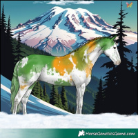 Horse Color:Watercolor White Spotted Black Splash 