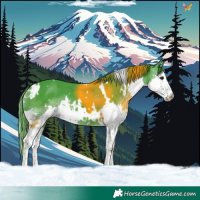 Horse Color:Watercolor White Spotted Black Splash 