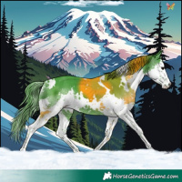 Horse Color:Watercolor White Spotted Black Splash 