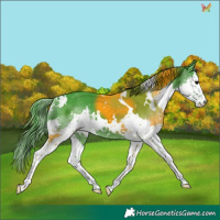Horse Color:Watercolor White Spotted Black Splash 