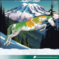 Horse Color:Watercolor White Spotted Black Splash 