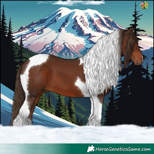 Horse Color:Liver Chestnut Tobiano 