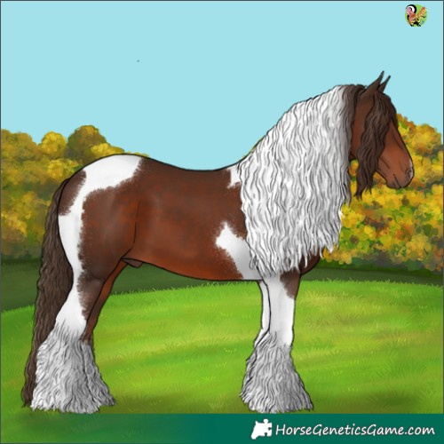 Horse Color:Liver Chestnut Tobiano 