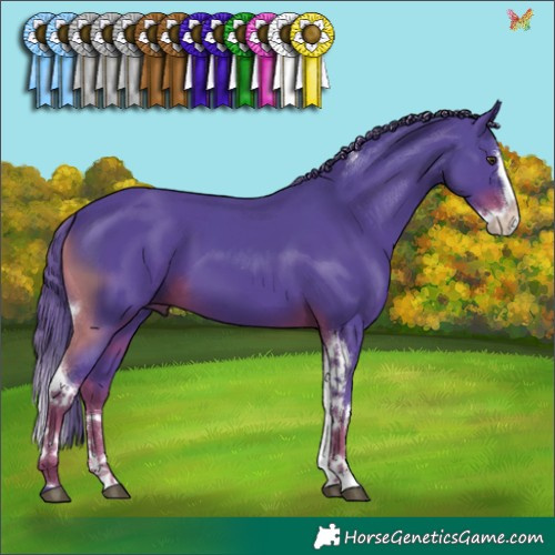 Horse Color:Watercolor Liver Chestnut Splash Tobiano 