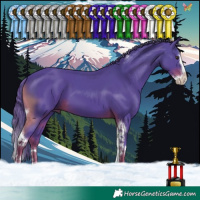 Horse Color:Watercolor Liver Chestnut Splash Tobiano 