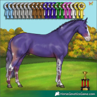 Horse Color:Watercolor Liver Chestnut Splash Tobiano 