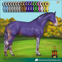 Horse Color:Watercolor Liver Chestnut Splash Tobiano 