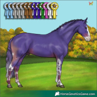 Horse Color:Watercolor Liver Chestnut Splash Tobiano