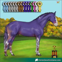 Horse Color:Watercolor Liver Chestnut Splash Tobiano 