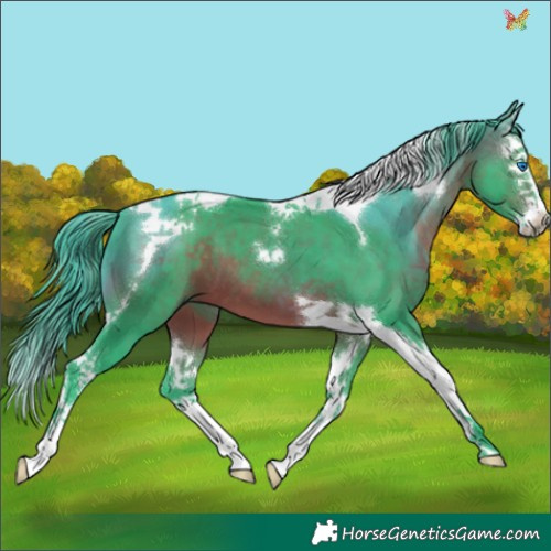 Horse Color:Watercolor Brown Splash Tobiano 