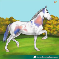 Horse Color:Watercolor Blue Onyx Splash Tobiano