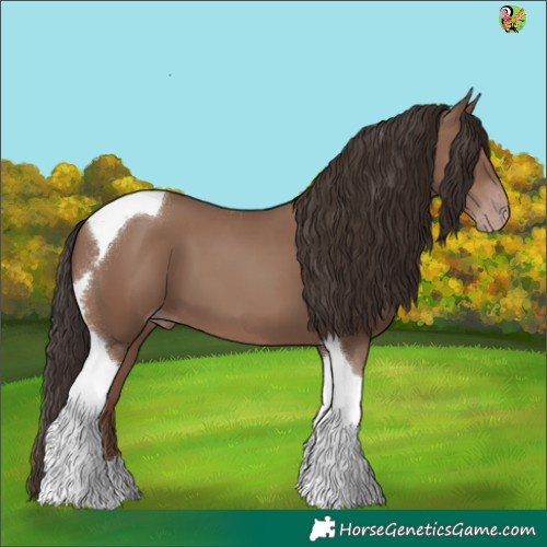 Horse Color:Classic Champagne Tobiano 