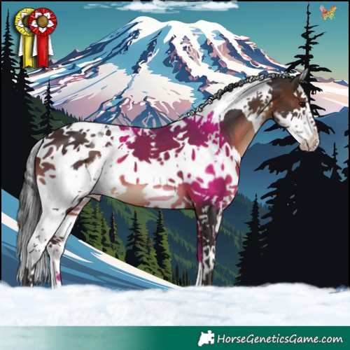 Horse Color:Brown Splash Tobiano 