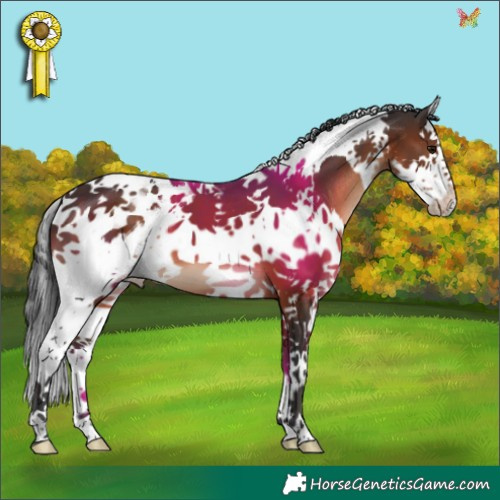 Horse Color:Brown Splash Tobiano 