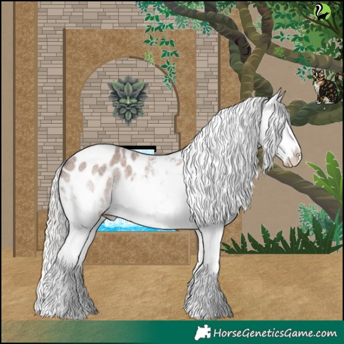 Horse Color:Silver Blue Roan Splash Appaloosa 