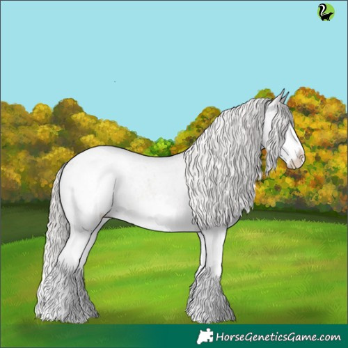 Horse Color:Silver Blue Roan Splash Appaloosa 
