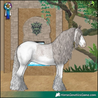 Horse Color:Silver Blue Roan Splash Snowcap 
