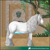 Horse Color:Silver Blue Roan Splash Appaloosa 