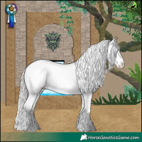 Horse Color:Silver Blue Roan Splash Appaloosa