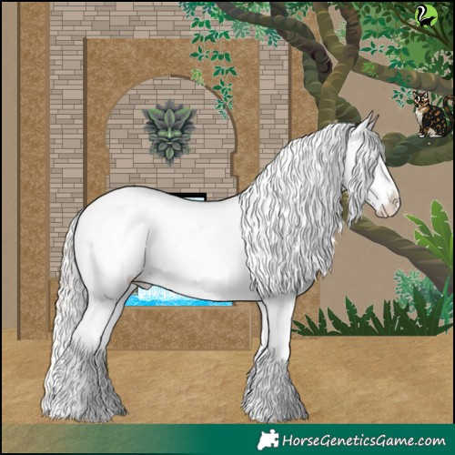 Horse Color:Silver Blue Roan Splash Appaloosa 