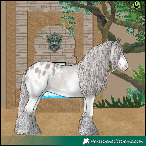 Horse Color:Silver Blue Roan Splash Appaloosa 
