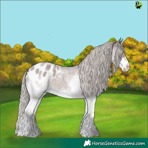 Horse Color:Silver Blue Roan Splash Appaloosa 