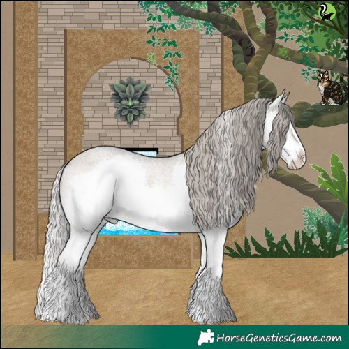 Horse Color:Silver Brown Roan Dun Splash 