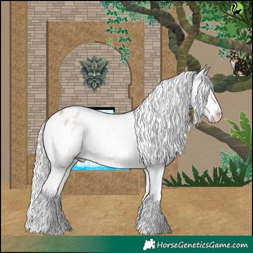 Horse Color:Silver Bay Roan Dun Splash Appaloosa 