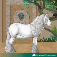Horse Color:Silver Bay Roan Splash Appaloosa 