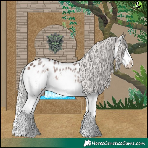 Horse Color:Silver Brown Roan Splash Appaloosa 