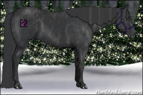 Horse Color:Black Splash Frame  Brindle