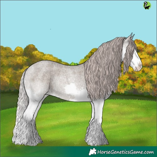 Horse Color:Silver Grullo Roan Splash 