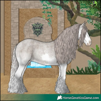 Horse Color:Silver Grullo Roan Splash