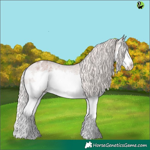 Horse Color:Silver Blue Roan Splash Appaloosa 